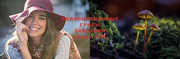 метадон Нея