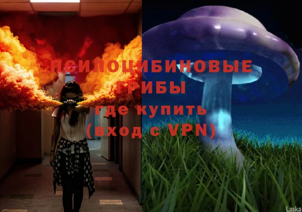 твердый Нефтекумск