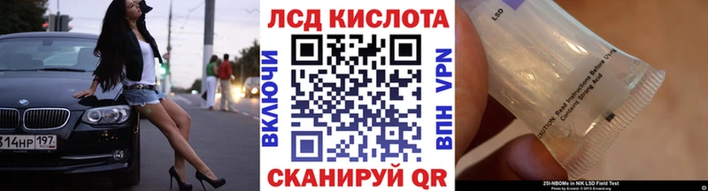 Купить закладки  Краснознаменск  Наркотические марки 1500мкг 
