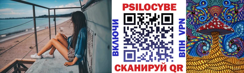 Галлюциногенные грибы Psilocybe  Купить  Краснознаменск 